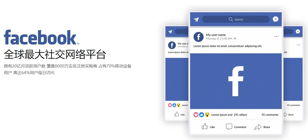 临沂海外社交媒体营销  第1张
